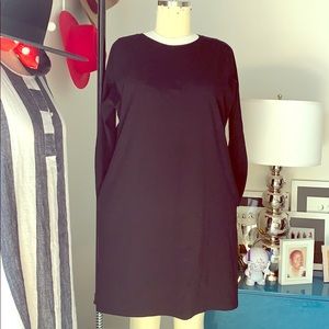 Eileen Fisher Stretch Cotton Dress w/pockets